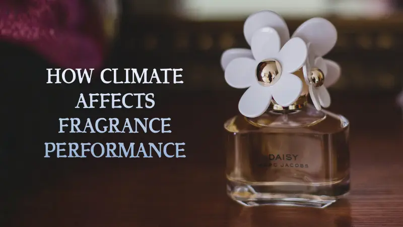 How climate affects fragrance performance