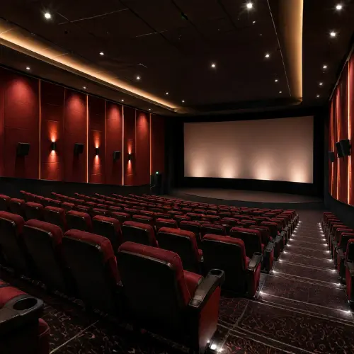 Cinemas & Auditoriums